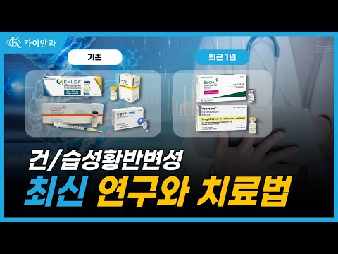   건 습성 황반변성 최신 연구와 치료법 정리