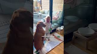 Neglected Senior Dog Learns To Be Part Of A Family The Dodo