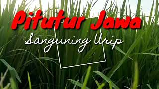 Pitutur Jawa,  Sanguning Urip