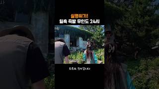 무인도여행 진짜 조심해야하는 이유 #여행브이로그 #무인도여행 #완도 #대화도 #무인도라이브
