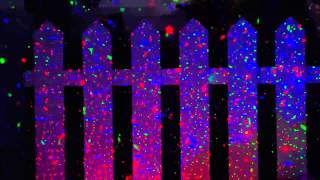 BlissLights Outdoor Indoor Motion 