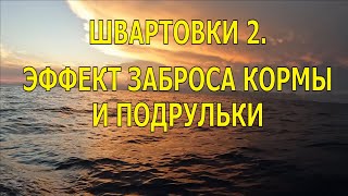 ЭФФЕКТ ЗАБРОСА КОРМЫ И ПОДРУЛИВАЮЩИЕ УСТРОЙСТВА. ШВАРТОВКИ 2.