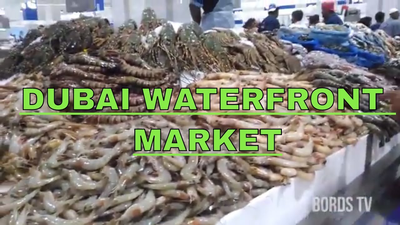 Deira Waterfront Market Dubai (New Fish Market) *English Sub* YouTube