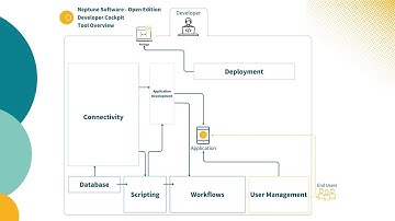 Neptune Software - Open Edition Developer Cockpit Tool Overview