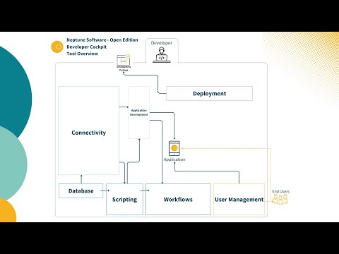 Neptune Software - Open Edition Developer Cockpit Tool Overview