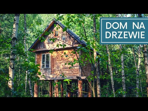 Wideo: Domek Na Drzewie