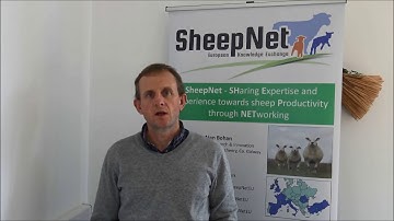 Irish testimony, Solution number 19. Interactive abortion App - Seamus Fagan