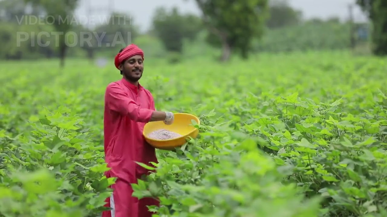 White Gold of Agriculture