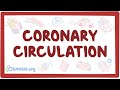 Coronary circulation - an Osmosis Preview