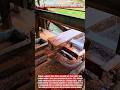 Old-School Sawmill Power in Action #woodworking #carpentry #wood