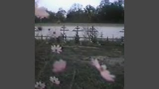 cemetery