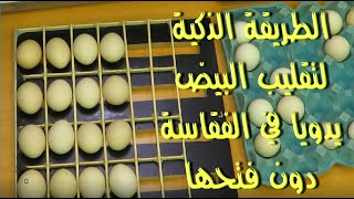 الطريقة الذكية لتقليب البيض في الفقاسة بدون فتحها | Smart way to manually turn egg inside incubator