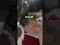 Kitty Slap!