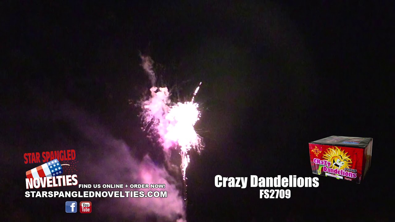 FS2709 Crazy Dandelions