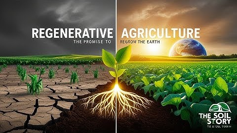 Regenerative Agriculture: A New Hope (Documentary)