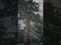 Apexel 60X Hyper Zoom Mobile Lens in Action. vlog 08 #planet