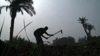 Egypte: les agriculteurs redoutent un barrage éthiopien