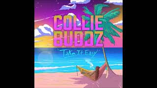 collie buddz no bush weed