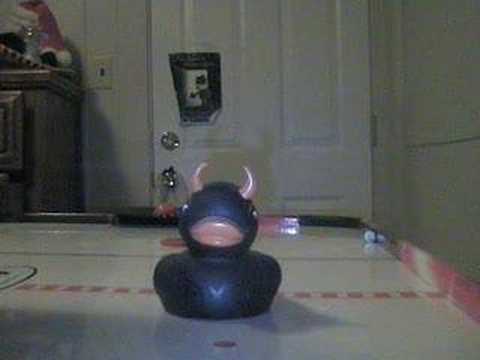 The Random Duck
