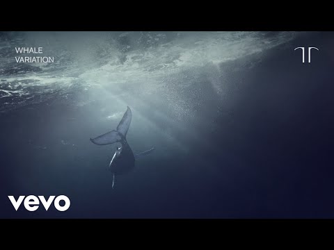 YouTube पर Gabríel Ólafs - Whale Variation (Audio) देखें