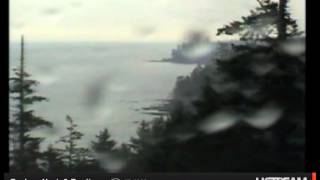 Eagle leaves Hidden beach tree-[589].wmv