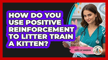 How Do You Use Positive Reinforcement To Litter Train A Kitten? - Happy Cat Handbook