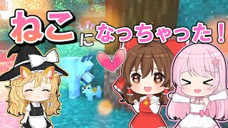 【マイクラ】🌸魔理沙が子猫にされちゃった🙀！！【ゆっくり実況】【マインクラフト】【まいくら】