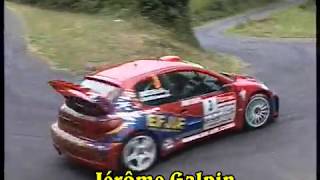 PEUGEOT 206 WRC "El Rey León"