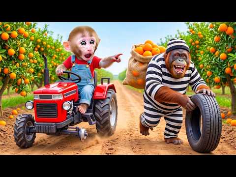 NANA the monkey catches the fruit thief in the garden and escapes from the UFO