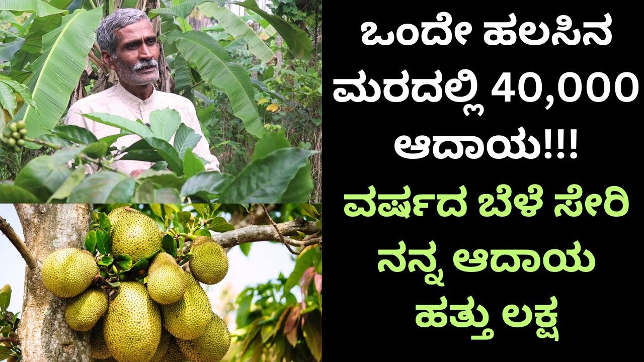 ಮನಸ್ಸು ಮಾಡಿದರೆ ನಮ್ಮಂತ ರೈತರು ಫ್ಲೈಟ್ ಹತ್ತಬಹುದು!!part-3