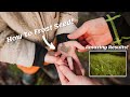 Frost Seeding Tips for Deer Hunting