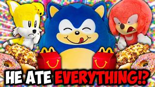 Fat Sonic Ate EVERYTHING!? (1+ Hour Sonic Movie)