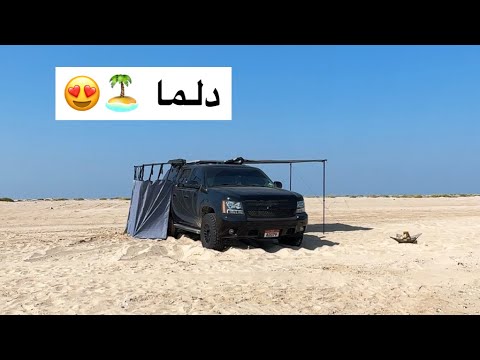 جزيرة دلما أبوظبي   