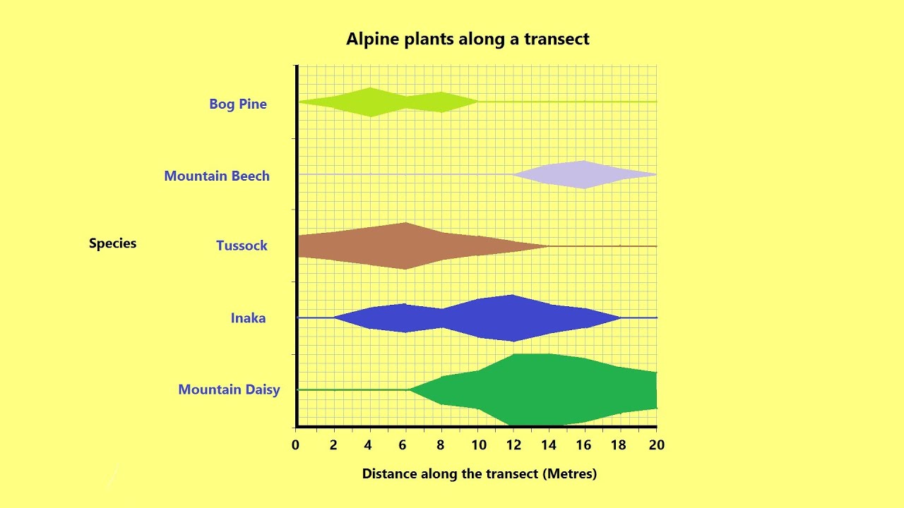 Transect Chart