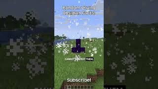 Some Random Facts About Crying Obsidian In Minecraft!