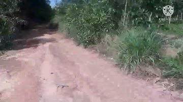 #nhadatthanhdanh# cần bán gấp 5 mẫu đất  thuộc xã tân an vỉnh cữu đồng nai . giá cho nhà đầu tư