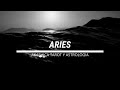 ARIES♈ VIVIRAS UN NUEVO ROMANCE DE FORMA INMINENTE