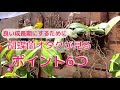 より良い成長期にしたい人へのアドバイス【6選】
