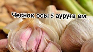 Чеснок осы 5 ауруға ем.чесноктың денсаулыққа пайдасы