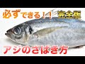 【超初心者向け】家庭用包丁でOK！鯵（アジ）のさばき方【下処理、三枚おろし、刺身の切り方】Filleting fish