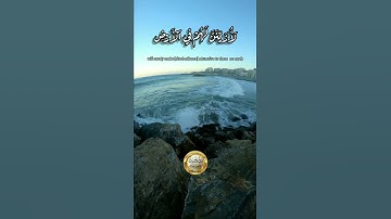 هزاع البلوشي سورة الحجر حالات واتساب / رقية شرعية / كشك