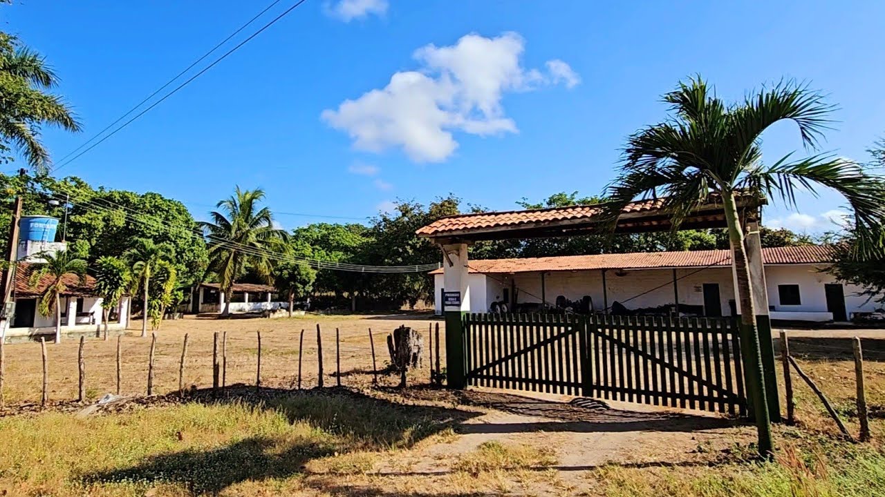 FAZENDA CONCEIÇÃO ESTA AVENDA 166 EQUITARES DE TERRAS DESERTO ITAPIPOCA CE,