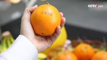 Customizing your own code| CCTV English