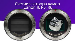 Как узнать пробег затвора Canon R, R5, R6 бесплатно за 5 минут