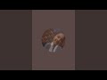 يلا ندردش شويه وحشتوني mp3