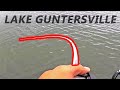 Catching MONSTER BASS on LAKE GUNTERSVILLE! (Fishing Fast)