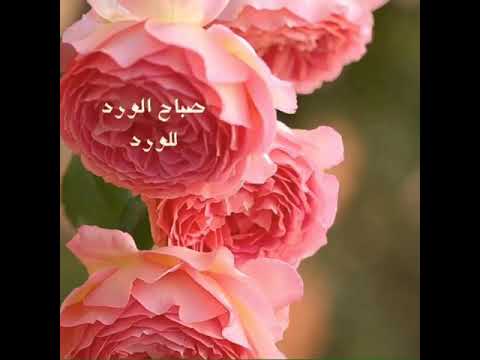 طالما القادم بيد الل ه فهو أجمل