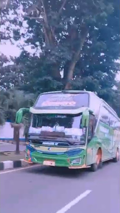 Story'wa Bus Pariwisata Pandawa 87 CAMARO