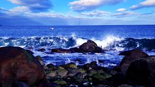 10 Hours Ocean Waves Crashing on Rocky Shore 🌊 Deep Sleep White Noise & Relaxing Sea Sounds