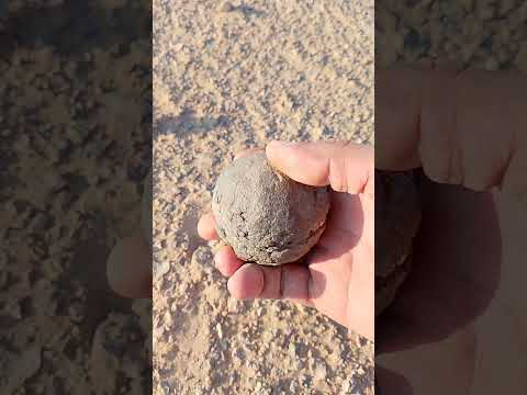 زئبق حر اكسبلور اكسبلور ترند المعدن لايك الصهر الصوديوم اذهب المعادن